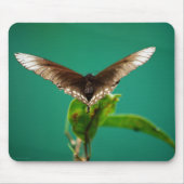 V Mousepad (Vorne)