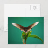 V Postkarte (Vorne/Hinten)