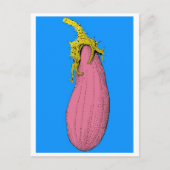 v postkarte (Vorderseite)