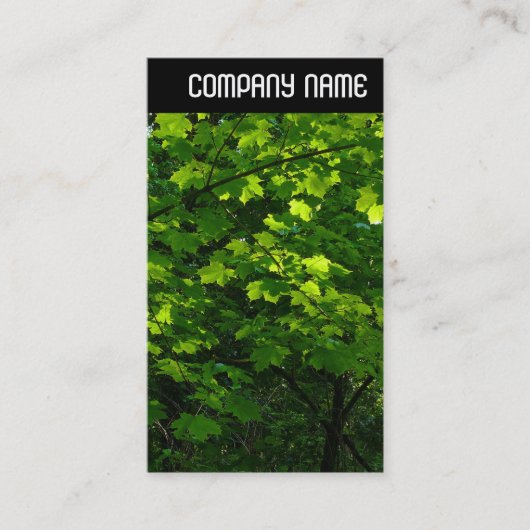 V Rubrik - Blätter im Frühjahr Visitenkarte (Vorderseite)