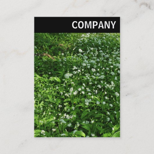 V. Rubrik: Blume aus Holz Visitenkarte (Vorderseite)