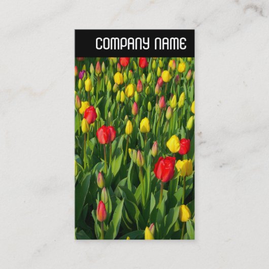 V Rubrik: Farbige Tulips II Visitenkarte (Vorderseite)