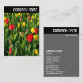 V Rubrik: Farbige Tulips II Visitenkarte (Vorne/Hinten)