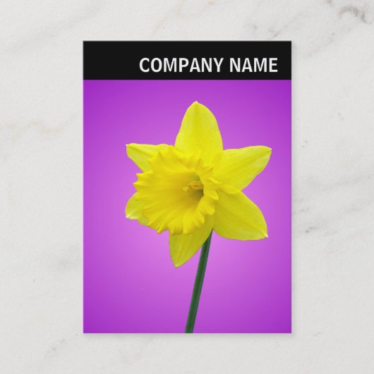 V Rubrik - Foto - Affodil Visitenkarte (Vorderseite)