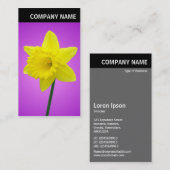 V Rubrik - Foto - Affodil Visitenkarte (Vorne/Hinten)