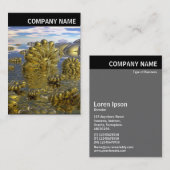 V. Rubrik - Foto - Land Midas Visitenkarte (Vorne/Hinten)