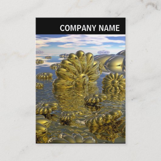 V. Rubrik - Foto - Land Midas Visitenkarte (Vorderseite)