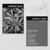 V. Rubrik - Foto - Rhododendron-Blätter Visitenkarte (Vorne/Hinten)