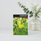 V Rubrik - Gemüse aus Raufutter 01 Visitenkarte (Stehend Vorderseite)