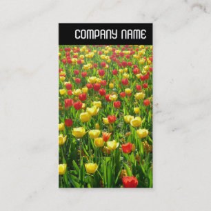 V Rubrik - Meer der Tulipen II Visitenkarte