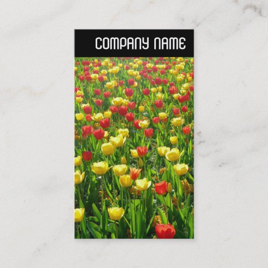 V Rubrik - Meer der Tulipen II Visitenkarte (Vorderseite)