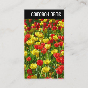 V Rubrik - Meer der Tulipen III Visitenkarte