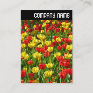 V Rubrik - Meer der Tulipen III Visitenkarte
