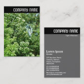 V. Rubrik - Sommerfrische Visitenkarte (Vorne/Hinten)