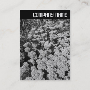 V. Rubrik - Zitat "Herbstfreuden" Visitenkarte