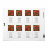 V Square Foto - Bett of Red Tulips 02 (Vorne)