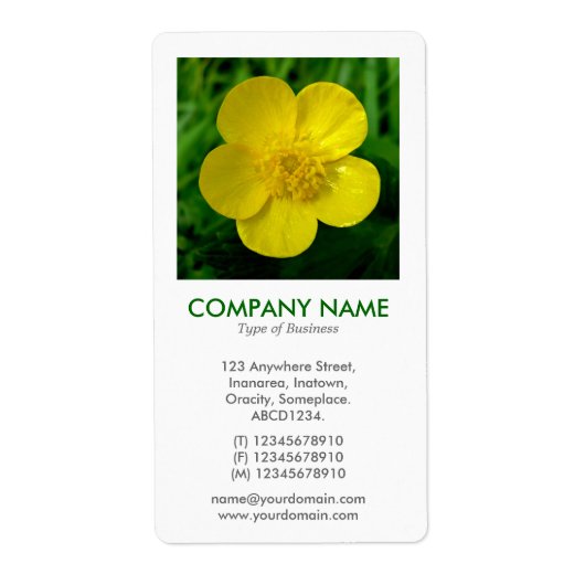 V Square Foto - Buttercup (Vorne)