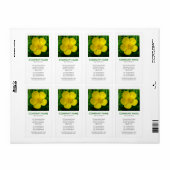 V Square Foto - Buttercup (Vorne)