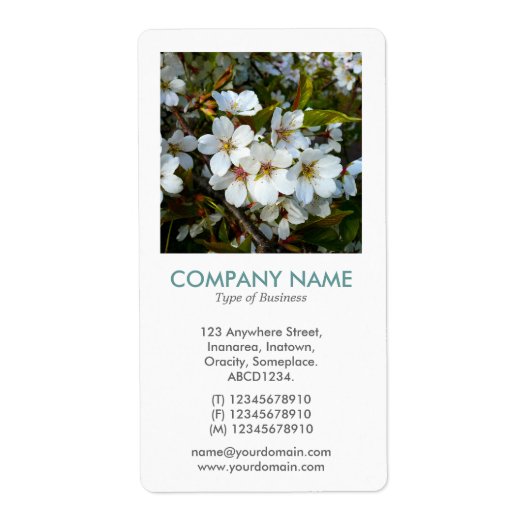 V Square Foto - Cherry Blossom (Vorne)