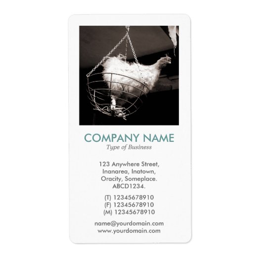 V Square Foto - Huhn in einem Korb (Vorne)