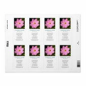 V Square Foto - Rosa Kosmos (Vorne)
