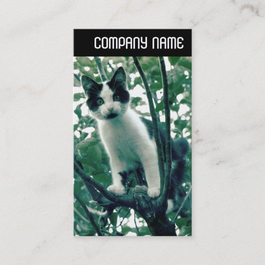 V. Überfluss der Übelkeit Visitenkarte (Vorderseite)