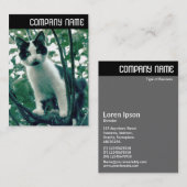 V. Überfluss der Übelkeit Visitenkarte (Vorne/Hinten)