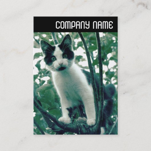 V. Überfluss der Übelkeit Visitenkarte (Vorderseite)