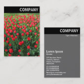 V Überschrift - Bett aus roten Tulipen 01 Visitenkarte (Vorne/Hinten)