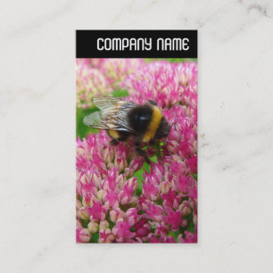 V Überschrift - Bienenstöpsel Visitenkarte