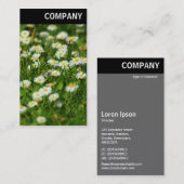 V. Überschrift: Daisy Meadow Visitenkarte (Vorne/Hinten)