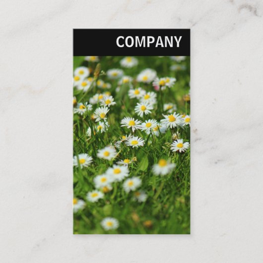 V. Überschrift: Daisy Meadow Visitenkarte (Vorderseite)