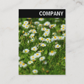 V. Überschrift: Daisy Meadow Visitenkarte