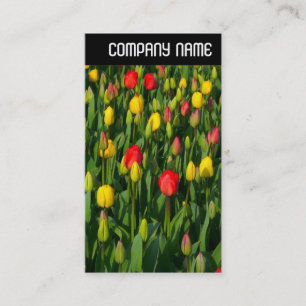 V Überschrift: Farbige Tulpen Visitenkarte