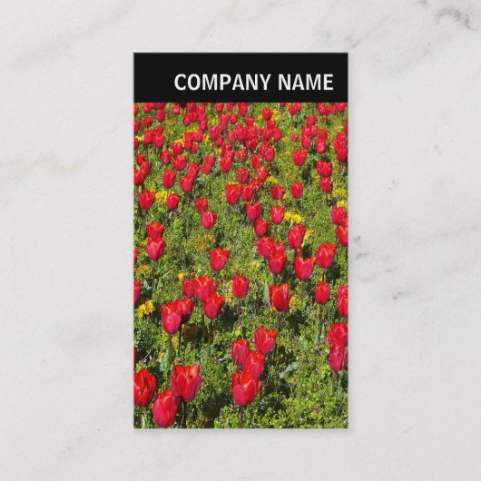V Überschrift - Foto - Tulpen Visitenkarte (Vorderseite)