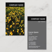 V Überschrift - Foto - Überschriften Visitenkarte (Vorne/Hinten)