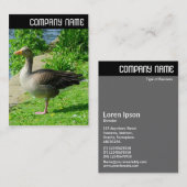 V Überschrift: Graugans Visitenkarte (Vorne/Hinten)