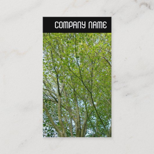 V Überschrift - Japanisches Ahorn Visitenkarte (Vorderseite)