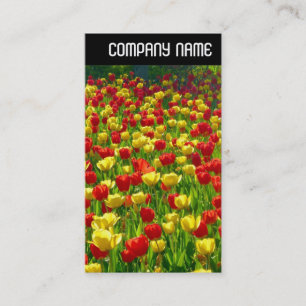 V Überschrift - Meer der Tulpen Visitenkarte
