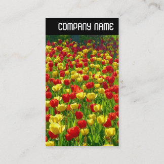 V Überschrift - Meer der Tulpen Visitenkarte