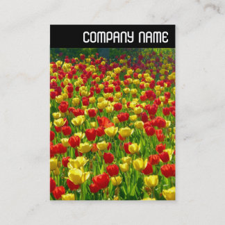 V Überschrift - Meer der Tulpen Visitenkarte
