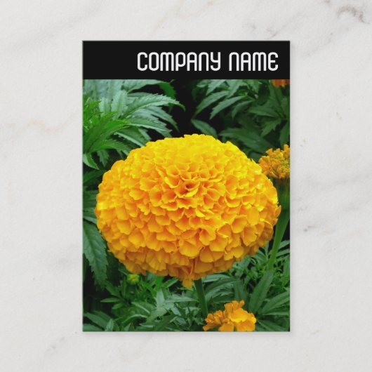 V Überschrift: Orange Chrysanthemum Visitenkarte (Vorderseite)