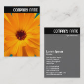 V Überschrift: Orange Marigold Visitenkarte (Vorne/Hinten)
