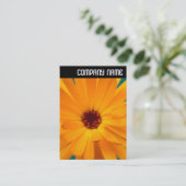 V Überschrift: Orange Marigold Visitenkarte (Stehend Vorderseite)