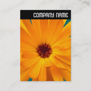 V Überschrift: Orange Marigold Visitenkarte