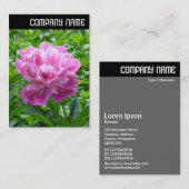 V Überschrift: Rosa Peony Visitenkarte (Vorne/Hinten)