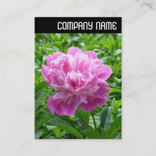 V Überschrift: Rosa Peony Visitenkarte (Vorderseite)