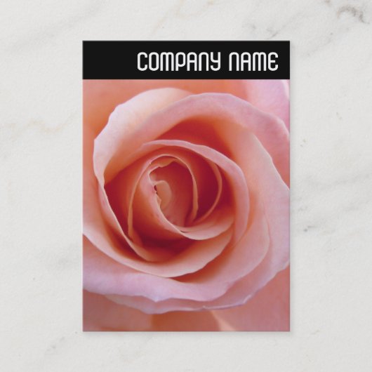 V Überschrift: Rosa Rose Visitenkarte (Vorderseite)