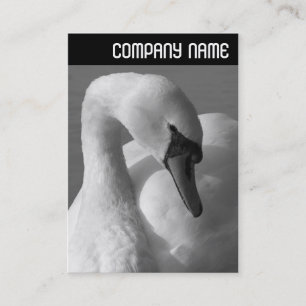 V Überschrift - Swan B&W Visitenkarte