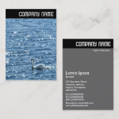V Überschrift - Swan Visitenkarte (Vorne/Hinten)